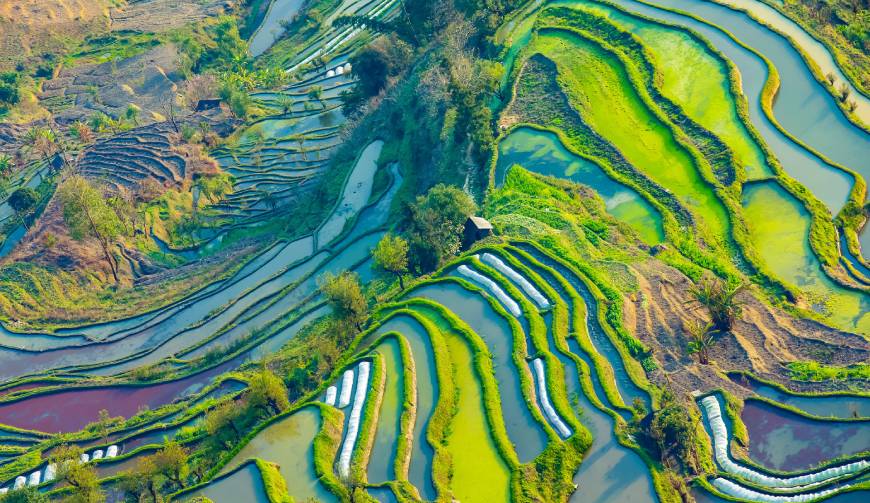 宝妈必备神器：普洱产品视频拍摄轻松育儿好帮手