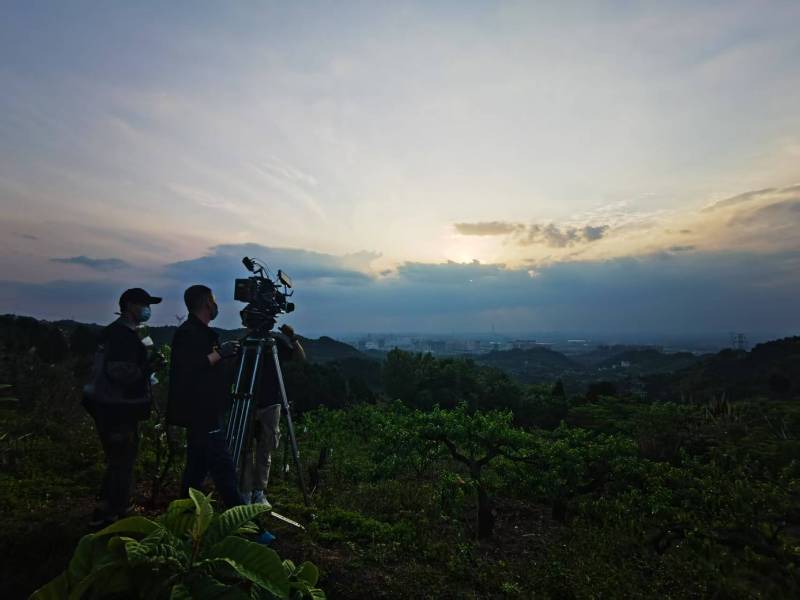聚焦普洱产品宣传视频拍摄公司，用专业实力铸就品牌传播传奇